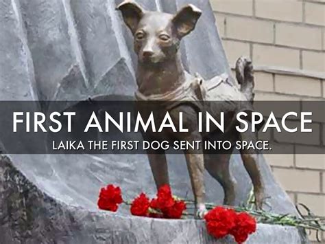 Laika The First Dog In Space by jewper1327