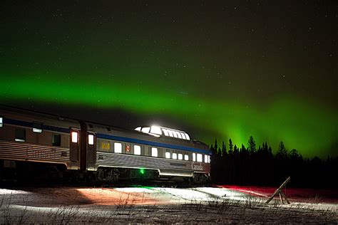 Churchill Polar Bear Expedition By Train