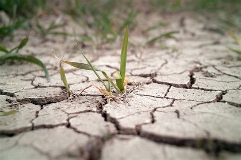 Man Made Climate Change Linked To Droughts As Early As 1900 Scientists