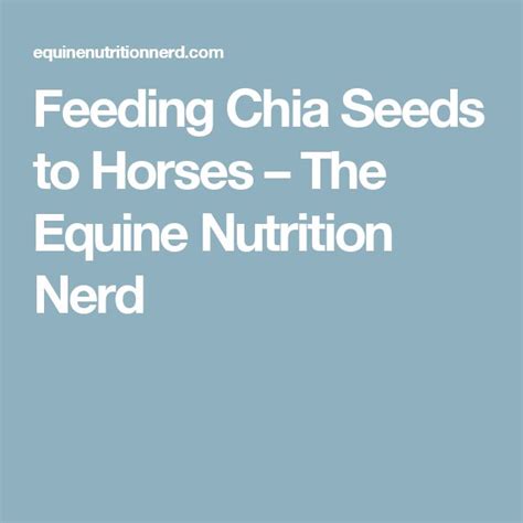 Feeding Chia Seeds To Horses The Equine Nutrition Nerd Equine