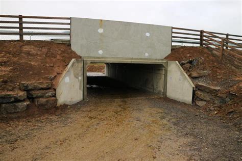 Key Considerations For A Cattle Underpass 16 June 2021 Free