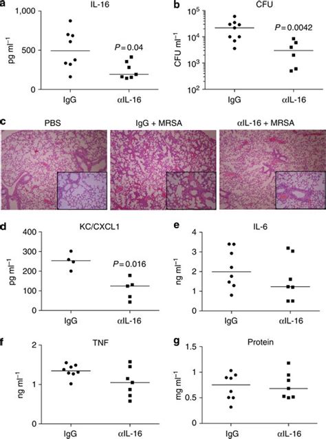 Neutralization Of Interleukin 16 Il 16 Improves Clearance Of