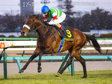 競馬ブックネットshop カラープリントアルミ枠付き2024年1月13日中山11r ニューイヤーステークスパラレルヴィジョン