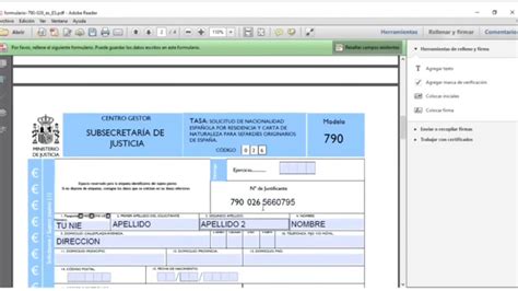 ¡aprende Cómo Pagar La Tasa 790 006 Online De Forma Rápida Y Sencilla