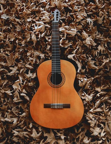 Guitar Leaves Fall Free Photo On Pixabay Pixabay