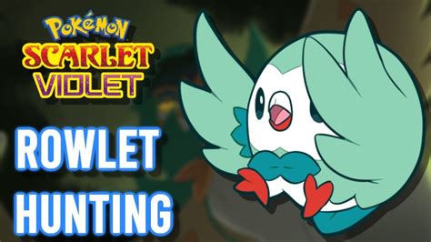 Shiny Hunting Rowlet Pokemon Scarlet And Violet Youtube