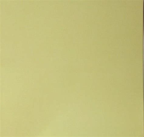 Creating Keepsakes 12 X 12 Light Moss Green Solid Textured Cardstock