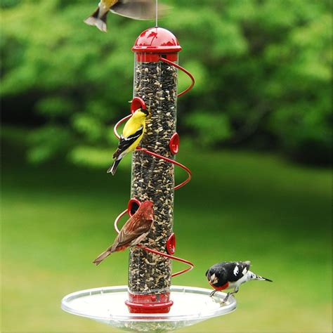 17 In Red Spiral Sunflower Feeder Bird Feeders Birds Red Sunflowers