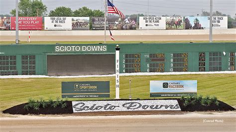 Update On Drivers Injured In Scioto Accident Standardbred Canada