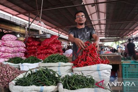 Harga Cabai Merah Turun Di Aceh Besar Antara News Aceh