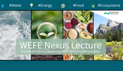 Water Energy Food Ecosystems WEFE Nexus Lecture The Role Of