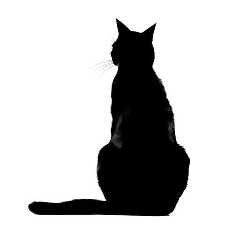 Sitting Cat Silhouette