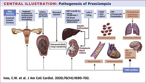 PreeclampsiaPathophysiology And Clinical Presentations JACC State Of