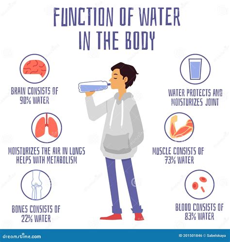 Vector Banner With Functions And Benefits Of Water For Human Body Stock