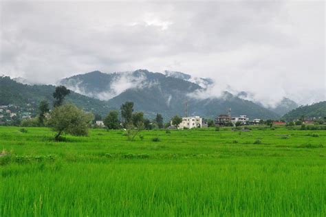 Weather and Temperature of Palampur