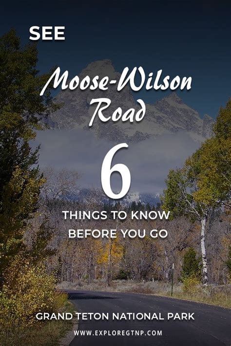 Driving The Moose Wilson Road 6 Tips To Know Before You Go Artofit