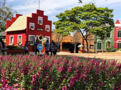 Turismo Em Holambra Sp O Que Fazer Em Holambra Conhe A A Cidade