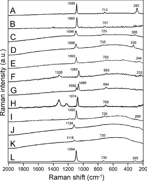 Raman Spectra Of 12 Carbonate Phases Obtained By The Portable Raman Download Scientific Diagram