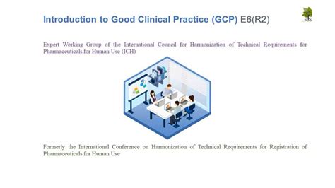 Good Clinical Practice Guidelines Ich Gcp E Ppt