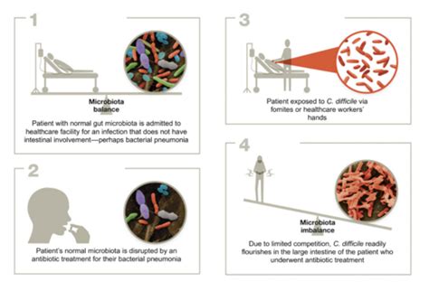 Chapter 10 Host Microbe Interactions And Pathogenesis — Section 1