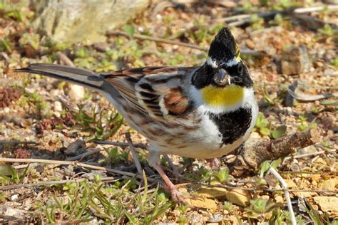 The Namak Waterpark March To Birds Korea Blog