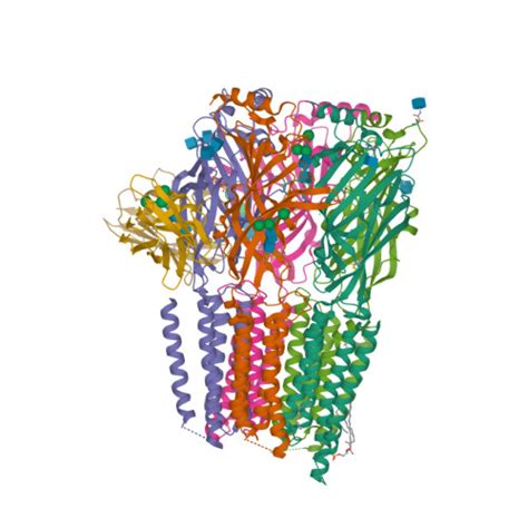 Rcsb Pdb Qn Cryo Em Structure Of Human Full Length Extrasynaptic