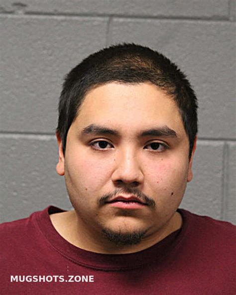 Raul Gonzalez Jr Chicago Mugshots Zone