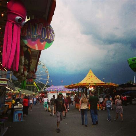 Douglas county fair | Douglas county, County fair, Places to go