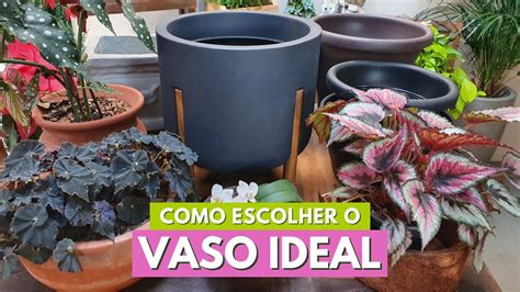 Como Escolher O Vaso Ideal Tipos E Tamanhos De Vasos Para Cultivar