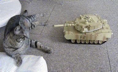 Tank GIF - Find & Share on GIPHY