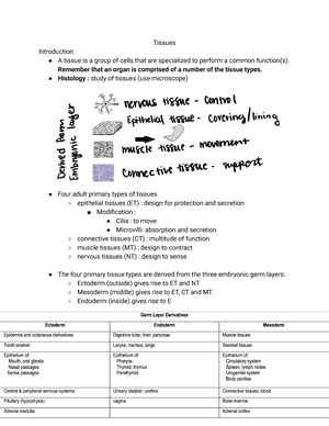 Body Organization And Terminology Worksheet Answers BIOL 2401 Studocu