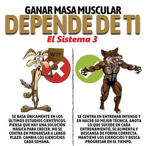 Ganar Masa Muscular Depende De Ti CambiaTuFisico Blog