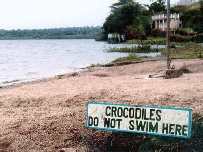 Crocodiles Do Not Swim Here Gag