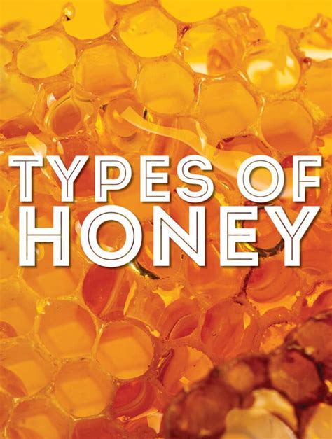 29 Types Of Honey From A to Z (With Photos!) | Live Eat Learn