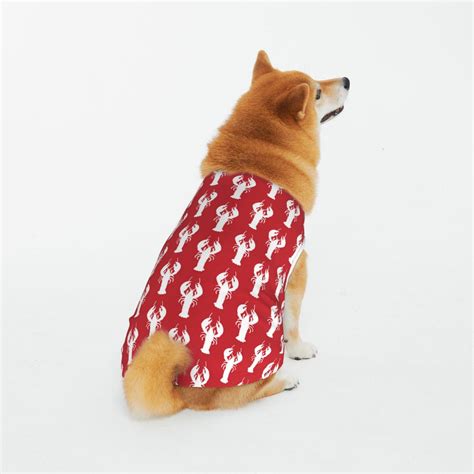 Daiia Cartoon Lobster Pattern Dog Clothes Dogs Cats Sweater Soft