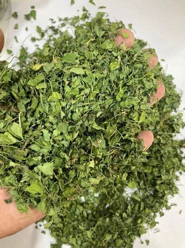 Dry Packaging Size Kg Dehydrated Kasuri Methi Leaves In Mahuva