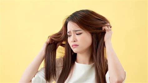 15 Cara Mengatasi Rambut Bercabang Agar Lebih Lembut Dan Sehat Beauty