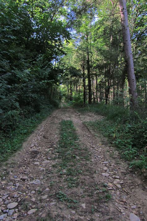 20120920 23 131 Jakobus Wald Weg Bernd Brang Flickr