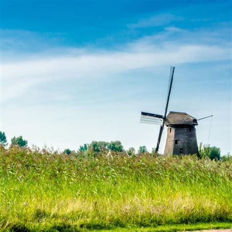 Premium Photo Typical Dutch Landscape In Alkmaar The Netherlands