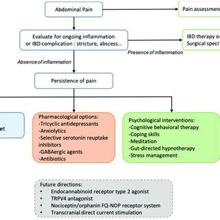 Proposed Algorithm For Pain Management With Pharmacological Agents And