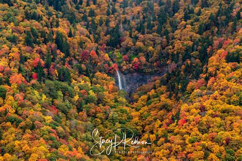 14+ Best Waterfalls on the Blue Ridge Parkway - Blue Ridge Mountain Life