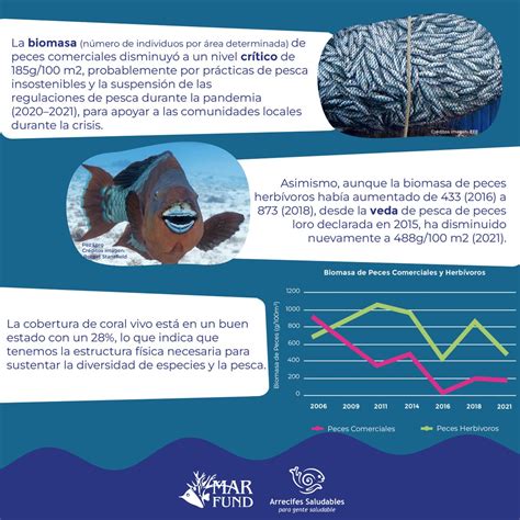 Healthy Reefs On Twitter Sum Rgete Con Nosotros A Los Arrecifes De