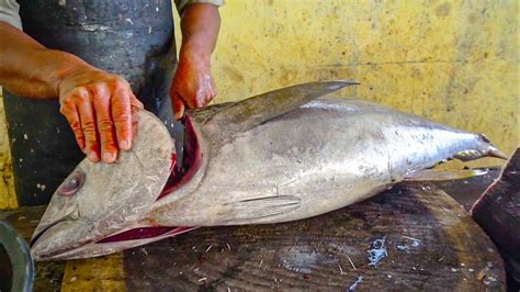 Bluefin Tuna Fish Cutting Skills Fish Cutting Expert Youtube