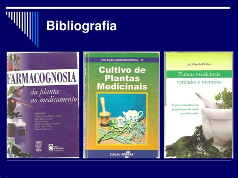 Ppt Curso De Plantas Medicinais Powerpoint Presentation Free