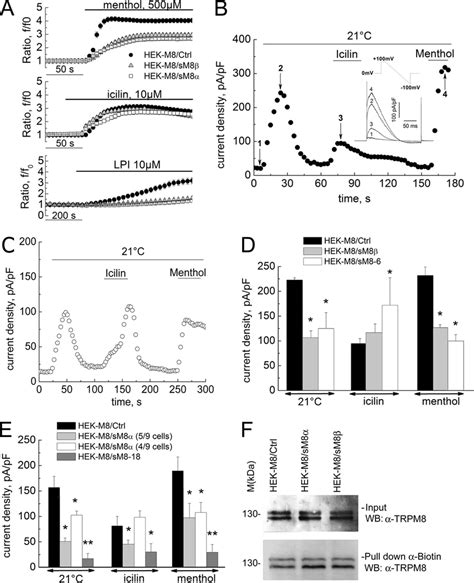 Functional Effect Of Sm8 Isoform Expression On Trpm8 Mediated