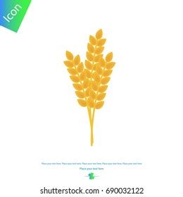 Vector Rice Plant Icon Represent Wheat Stock Vector Royalty Free