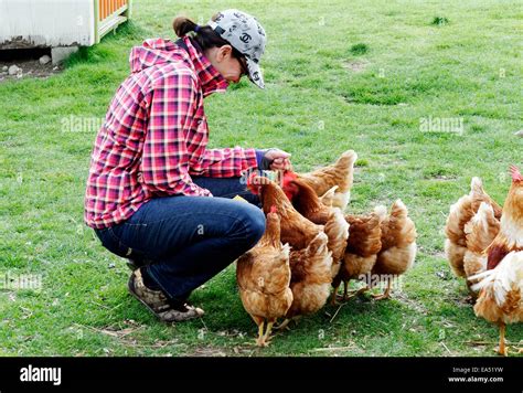 Woman Feeds Chickens Hi Res Stock Photography And Images Alamy