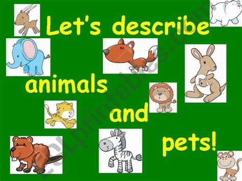 Words To Describe Animals