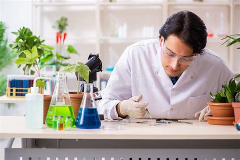 El Qu Mico De La Biotecnolog A Que Trabaja En Laboratorio Foto De