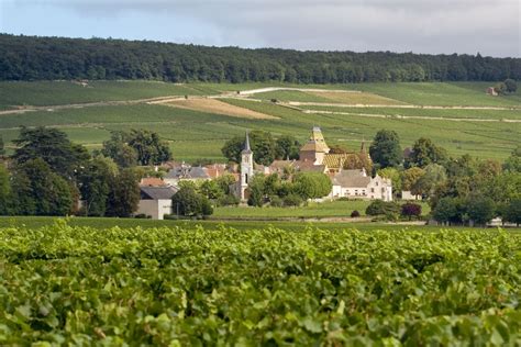 Safari Tours | Wine Tasting Burgundy | OFFICIAL SITE